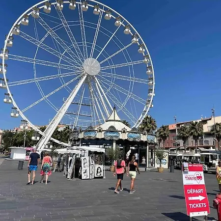 Beau Et Vaste T3 Proche Port Et
